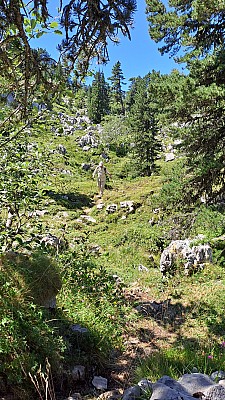 20230811_131920.jpg