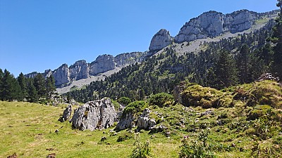 20230811_145453.jpg