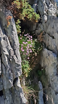 20230811_145725.jpg
