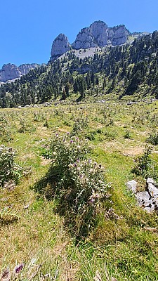 20230811_150017.jpg