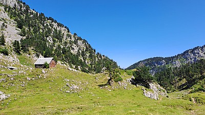 20230811_150725.jpg