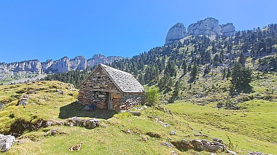 20230811_151153.jpg