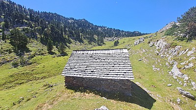 20230811_151504.jpg