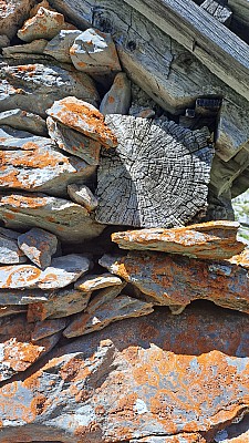 20230811_151700.jpg