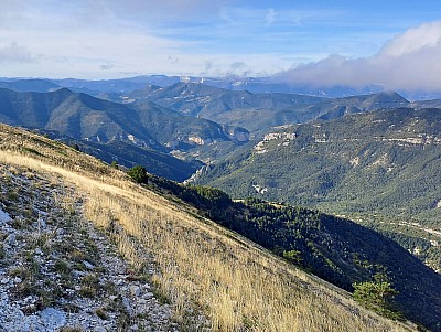 20231015_105241_r.jpg
