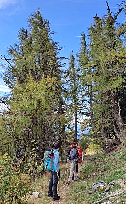 20231015_115412_r.jpg