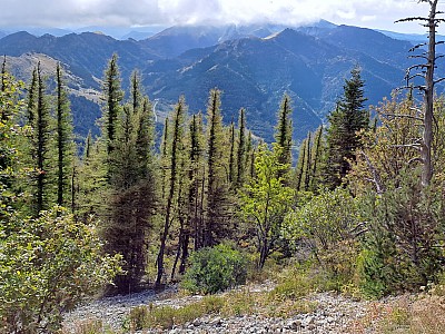 20231015_115656_r.jpg