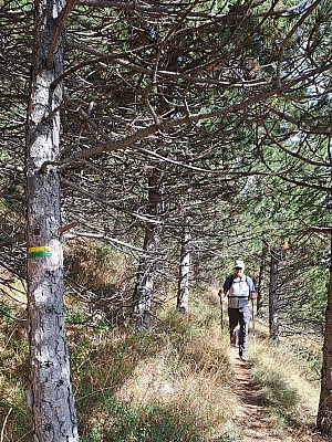 20231015_122158_r.jpg
