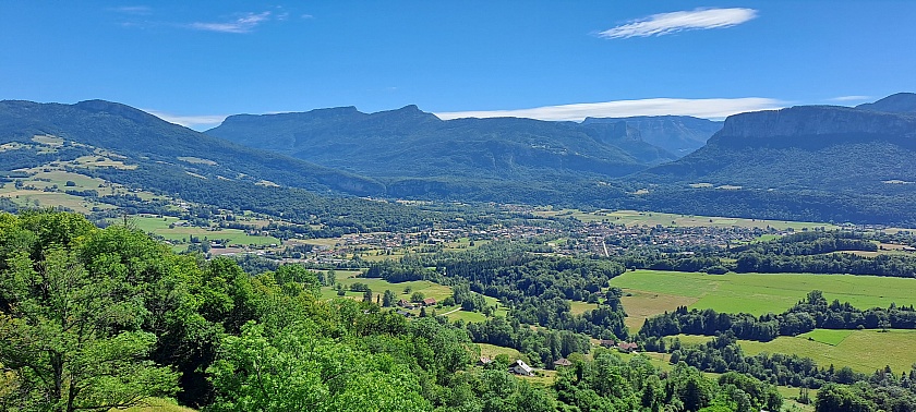 20240616_115041.jpg
