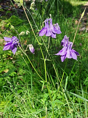 20240616_154019_r1.jpg