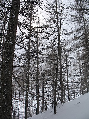img_3596.jpg
