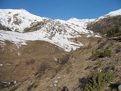 20110211_0335.jpg