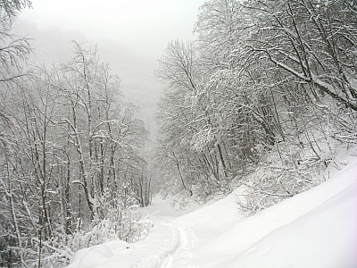 20120202_03.jpg