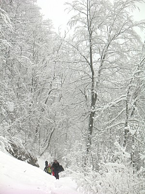 20120202_04.jpg