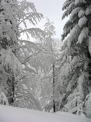 20120202_07.jpg