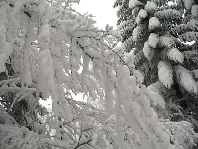20120202_08.jpg