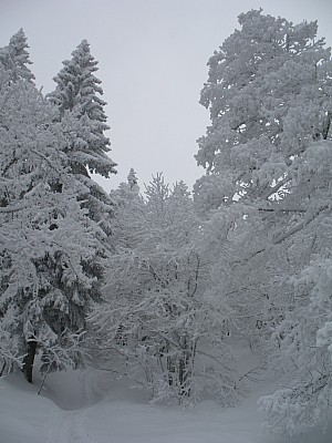 20120202_13.jpg
