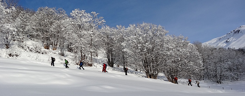 DSC01524_d2.jpg