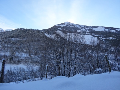 DSC01968.JPG