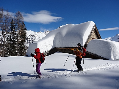 DSC02013.JPG