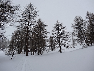 dsc02000.jpg