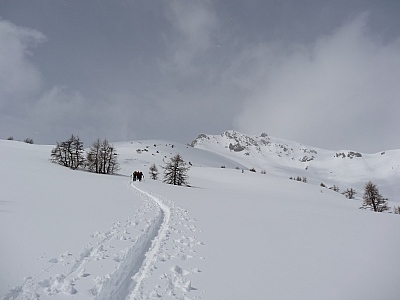dsc02001.jpg