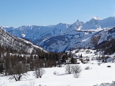dsc02014.jpg