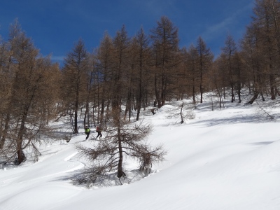 DSC02087.JPG