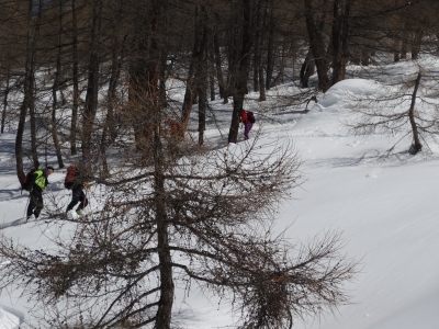 DSC02088.JPG