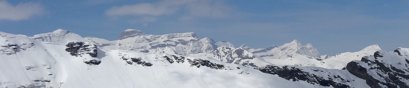 DSC02483_p2.jpg