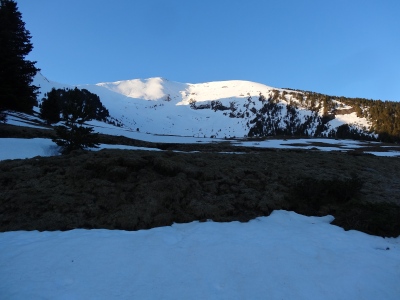 DSC02508.JPG