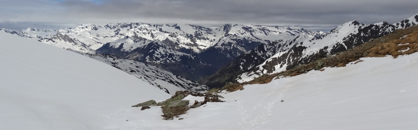 DSC02553_p1.jpg