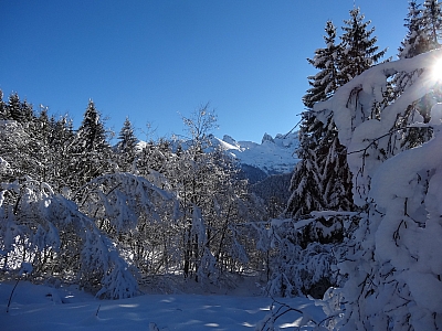 DSC06477.JPG