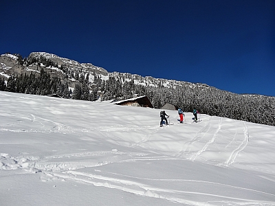 DSC06478.JPG