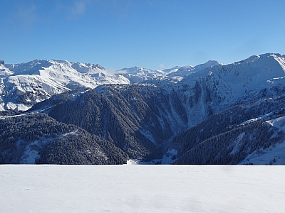 DSC06604.JPG
