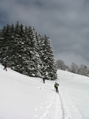 IMG_0204.JPG