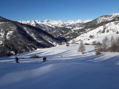 20190205_100328.jpg