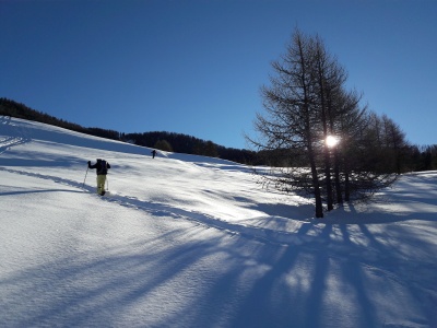 20190205_100341.jpg