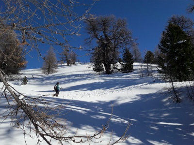 20190205_120203.jpg