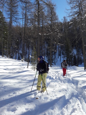 20190205_135300.jpg