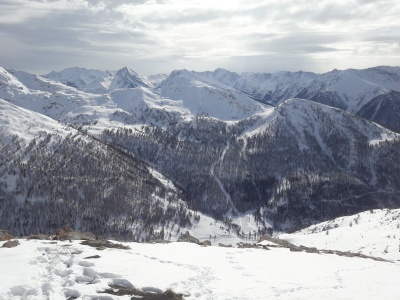 20190207_134725.jpg