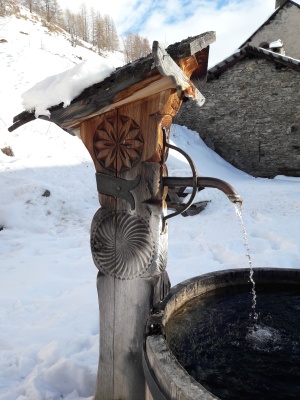 20190207_155146.jpg