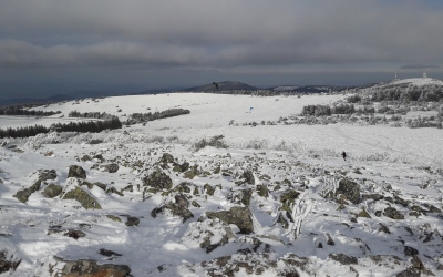 20210126_174155.jpg