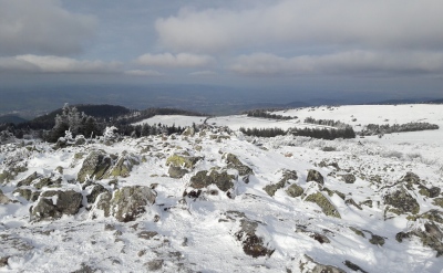 20210126_174252.jpg