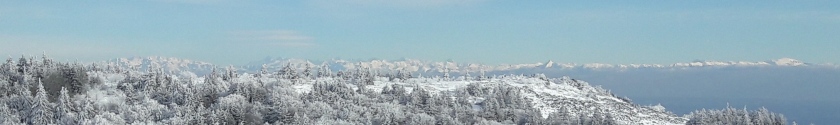 perdrix_pano_2.jpg