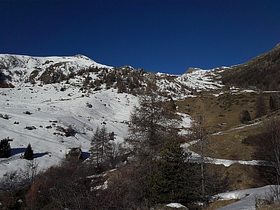 20220202_100859.jpg