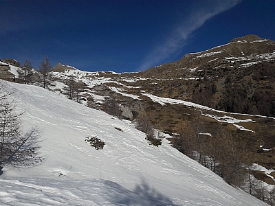 20220203_104646.jpg