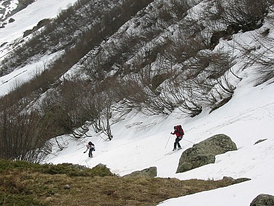 136-3623_img.jpg
