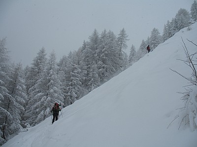 img_4769.jpg