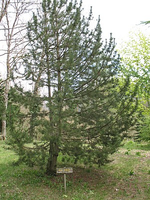 img_5565.jpg